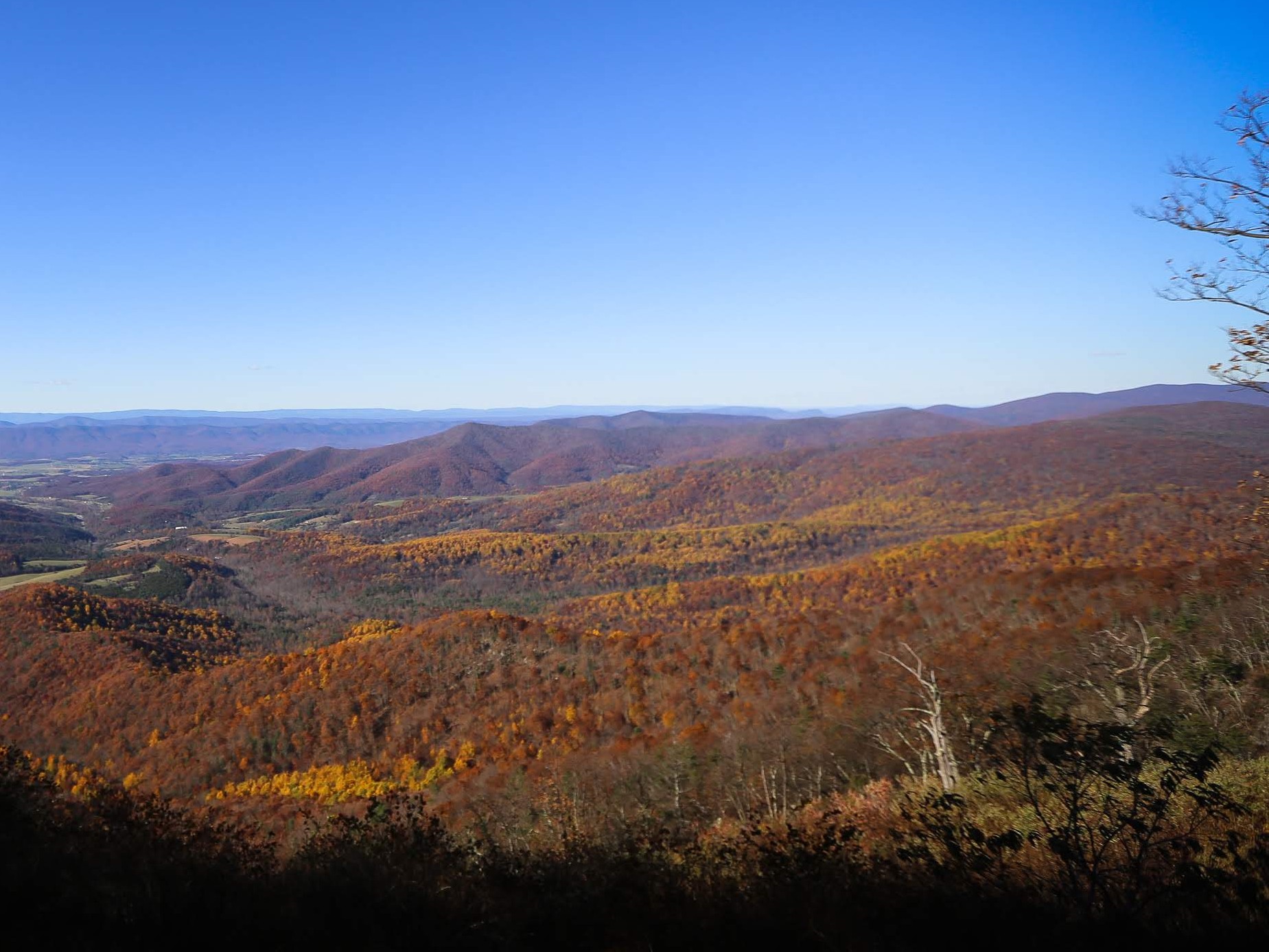 Fall in Basye