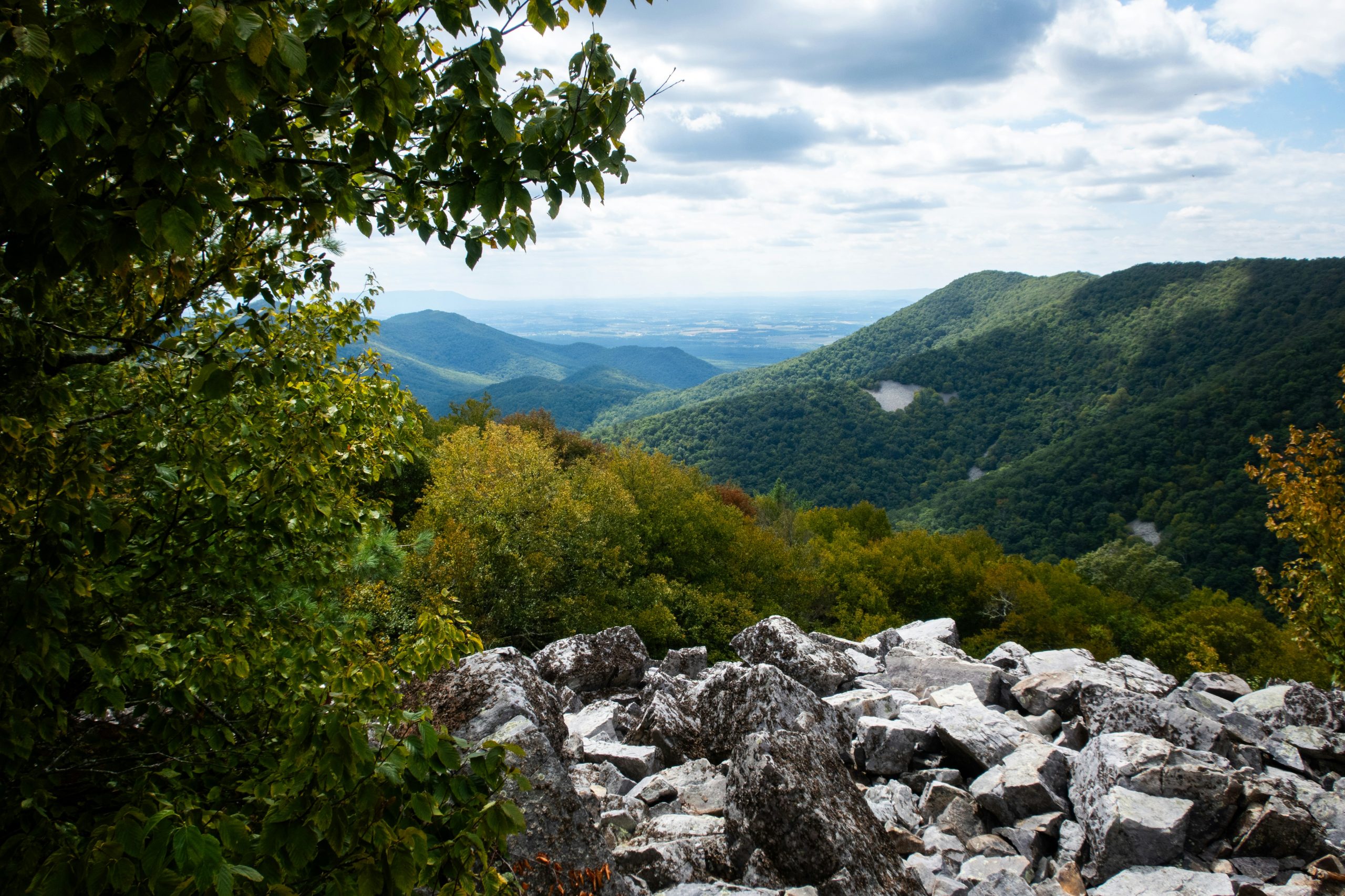 Runkles Gap Trail