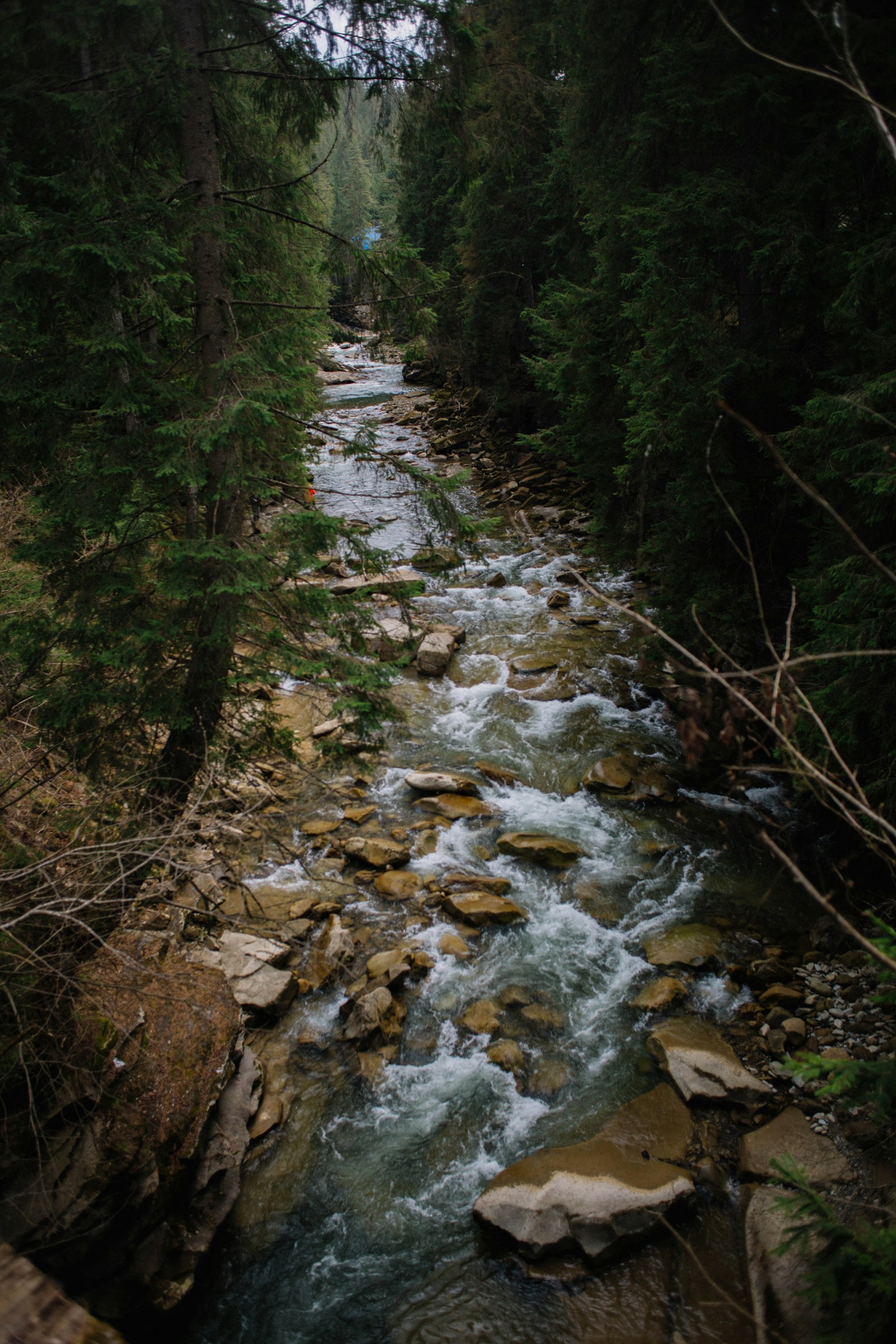 Stony Creek Valley Walk