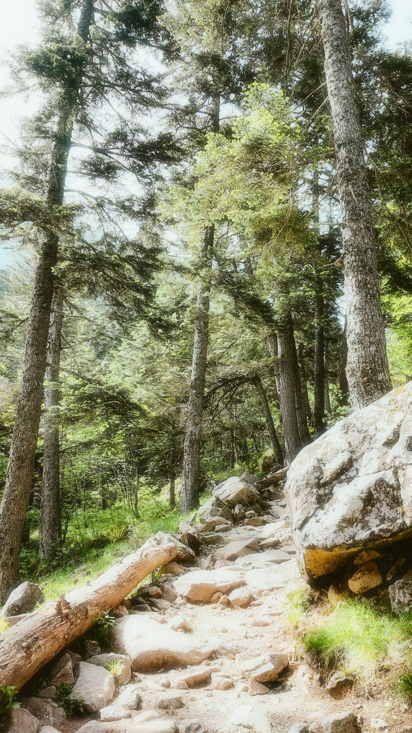 North Mountain Trail