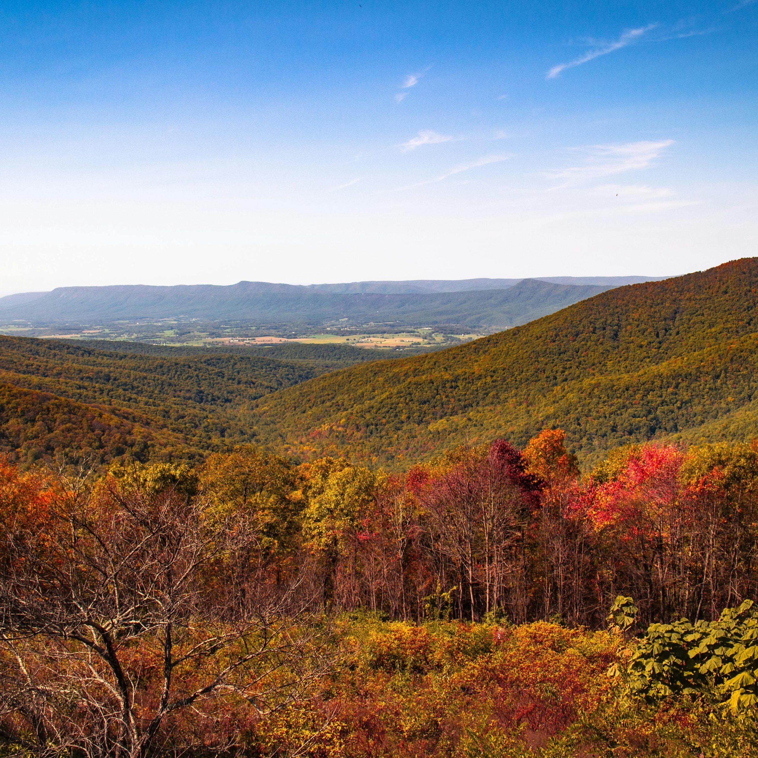 Skyline Drive